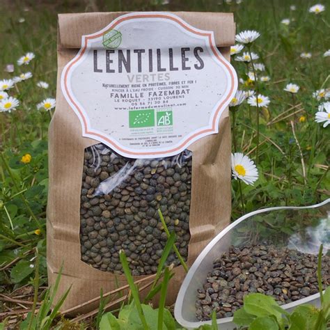 Lentilles vertes Bio 500g 3 à 4 personnes Fruits et Légumes La