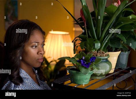 NICOLE BEHARIE, AMERICAN VIOLET, 2008 Stock Photo - Alamy