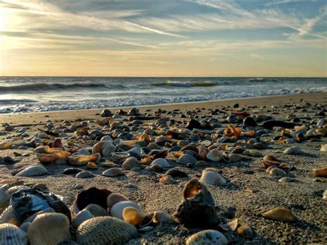 Pin By Belinda Overeem On Cocoa Beach Fl Cocoa Beach Outdoor Beach