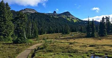 Trail Running At Garibaldi Album On Imgur