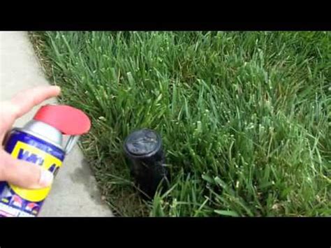 How To Fix A Sprinkler Head That Won T Go Down Youtube