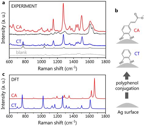 Nanomaterials Free Full Text Nanoscale Surface Enhanced Raman Spectroscopy Investigation Of