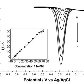 A Differential Pulse Voltammograms Of Da At The Modified Electrode In