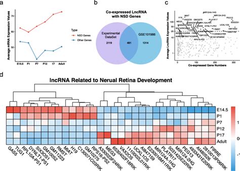 Identification Of Key Coexpressed Lncrnas With Nervous System