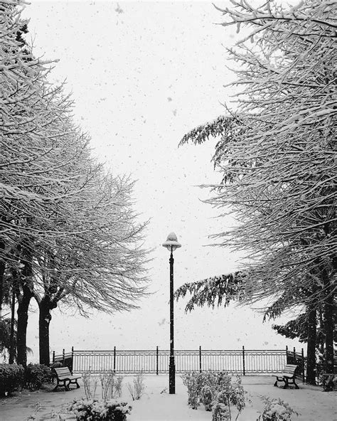 Maltempo E Neve In Basilicata I Fiocchi Imbiancano Potenza FOTO