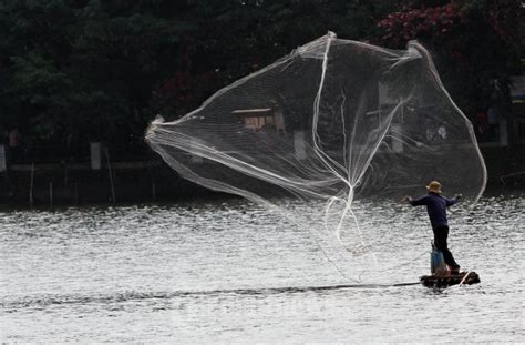 Menjala Ikan Di Situ Babakan Foto 7 727461