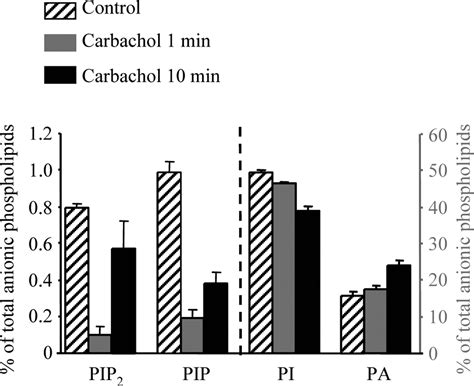 Regulation Of Kv Kcnq K Channel Open Probability By