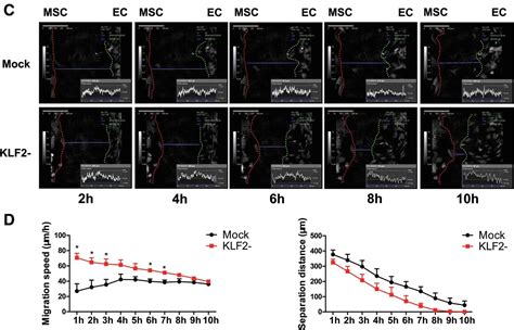 Holomonitor Quantitative Live Cell Imaging In Stem Cell Research Phi