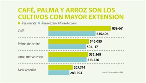 Porcentaje De La Agricultura En Colombia Colombia Verde