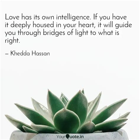 Love Has Its Own Intellig Quotes Writings By Khadda Hassan