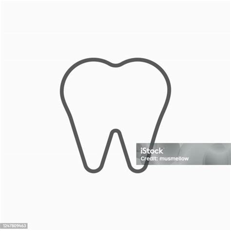 ikon gigi vektor gigi ilustrasi stok  gambar  akar