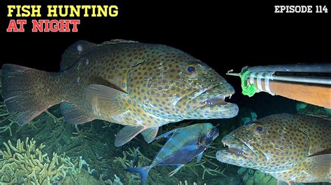 NIGHT SPEARFISHING EPISODE 114 FISH HUNTING AT NIGHT YouTube