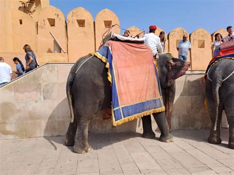 Golden Triangle Tour Delhi Agra Jaipur Getyourguide