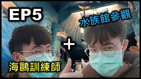 【辛のvlog：4天3夜澎湖畢業旅行】ep5 原本應該要成為「小管獵手」卻成為了「海鷗訓練師」？ Youtube