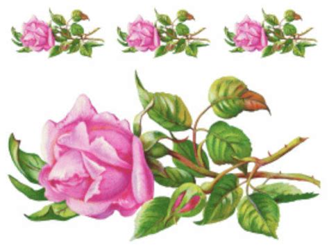 Vintage Image Victorian Shabby Single Stem Pink Rose Waterslide Decals