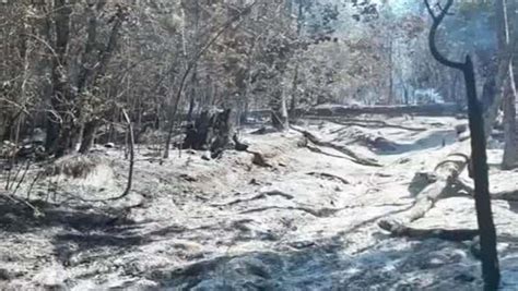 Contin An Los Incendios Forestales En Oaxaca Guerrero Y Michoac N