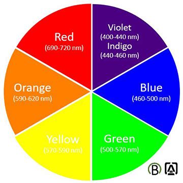 distribution  photosynthetic pigments
