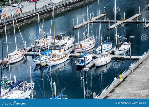 White Sailboats Docked In Seattle Stock Photo Image Of Pacific