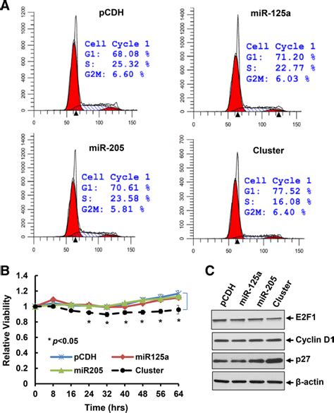 Targeting Of Her3 With Functional Cooperative Mirnas Enhances