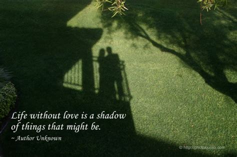 Shadow Quotes And Sayings Quotesgram