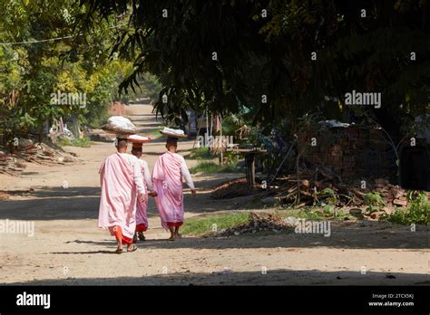 Buddhist Nuns In Myanmar Hi Res Stock Photography And Images Alamy