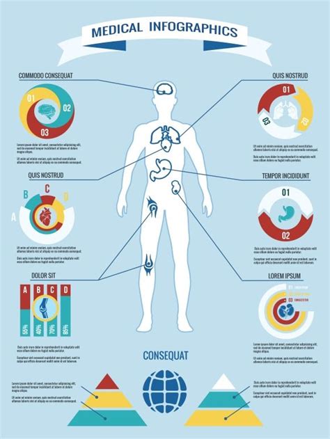 Human Body Medical Infographics Medical Infographic Infographic