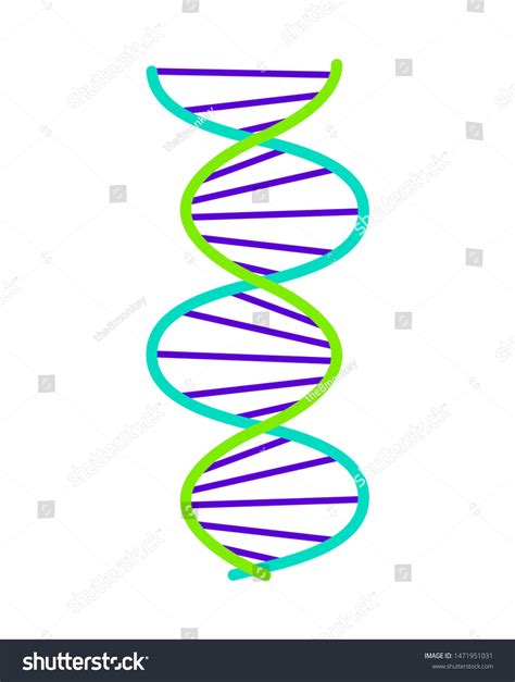 Abstract Dna Strand Symbol Isolated On Stock Vector Royalty Free