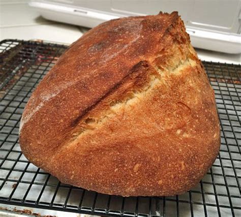 Pane Tipo Di Altamura April 14 2016 The Fresh Loaf