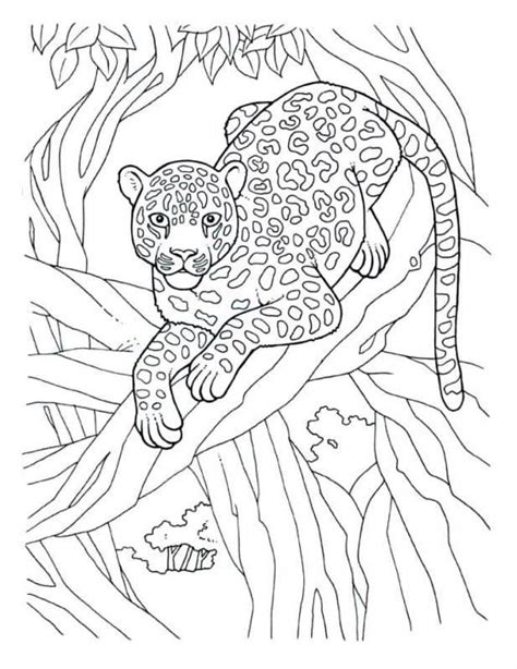 Coloriage Jaguar se repose sur l arbre dessin gratuit à imprimer