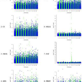 Manhattan Plot Displaying The Results Of The Genome Wide Scan With