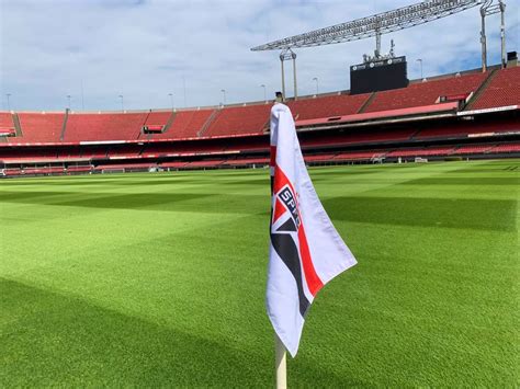 S O Paulo Realiza Plantio Do Gramado De Inverno No Morumbi Durante