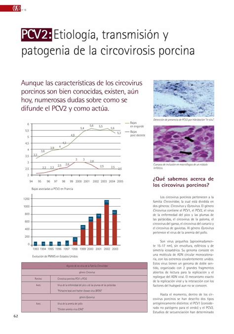 Pdf Pcv Etiolog A Transmisi N Y Patogenia De La Axonveterinaria