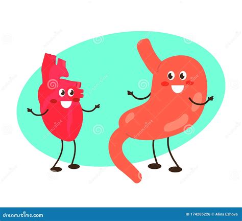 Healthy Stomach And Heart On A Blue Background Cartoon Stock Vector