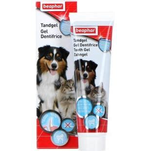 Dentifrice Pour Chien Fait Maison Ventana Blog