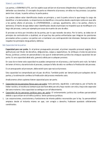 Tema Procesal Pdf