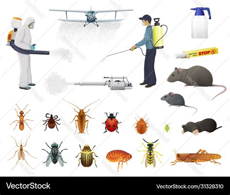 Disinfection pest control insects extermination Vector Image