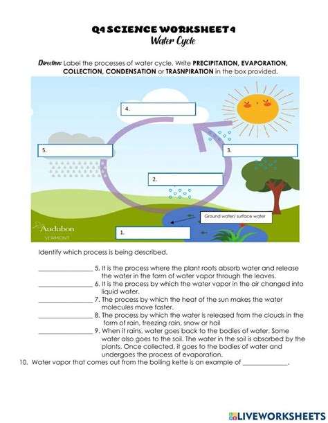 Q4 SCIENCE Worksheet 4 Water Cycle Worksheet Live Worksheets