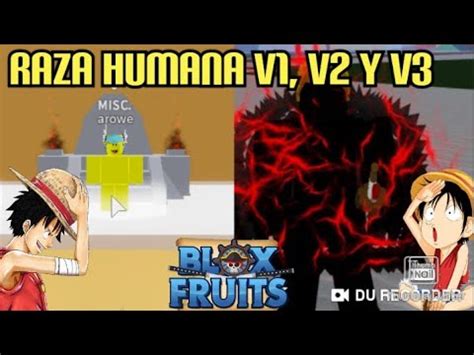 Como Evolucionar La Raza Humano A V Y V Roblox Blox Fruits Guia