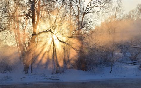 Winter, morning, sunrise, sun rays, fog, trees, snow wallpaper | nature ...