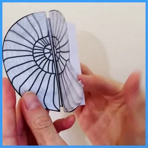 How A Fossil Is Formed Sequencing Cards And Foldable Activity Tpt