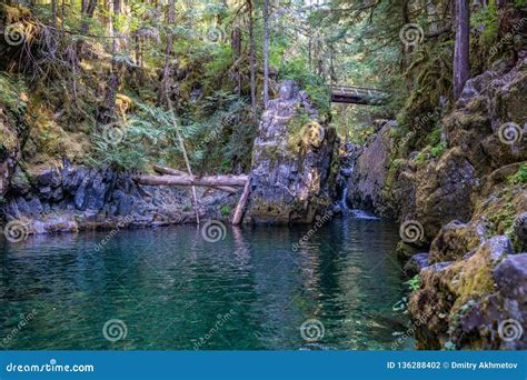 Scenic View At Opal Pool Natural Pool At Opal Creek Stock Photo