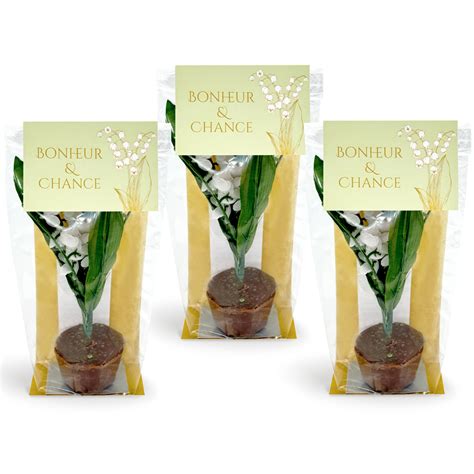 Pot De Muguet En Chocolat Kisseo Fr