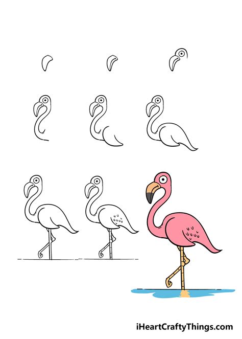 Flamingos Drawings