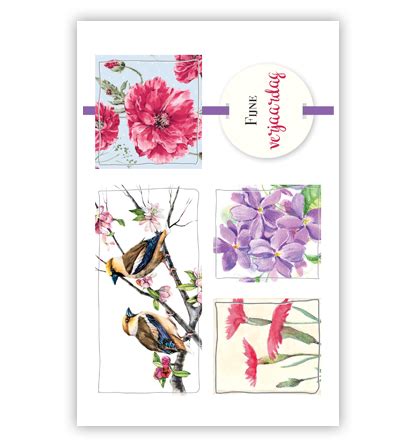 Vogels En Bloemen In Vakjes Primeurcards