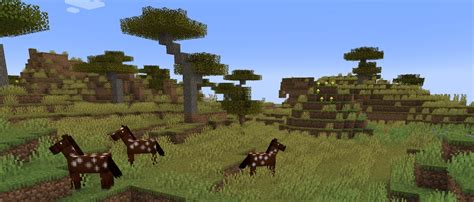 Around the Block: Savanna | Minecraft