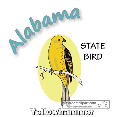 Alabama State Clipart - alabama_state_bird_yellowhammer - Classroom Clipart