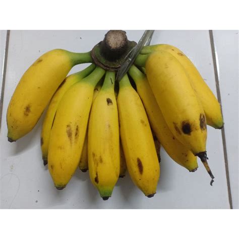 Jual Pisang Uli Banten Shopee Indonesia