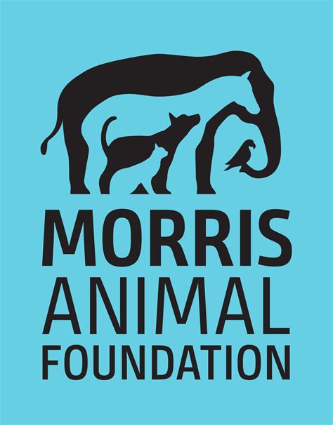 Fun Facts About Animal Hearts | Morris Animal Foundation