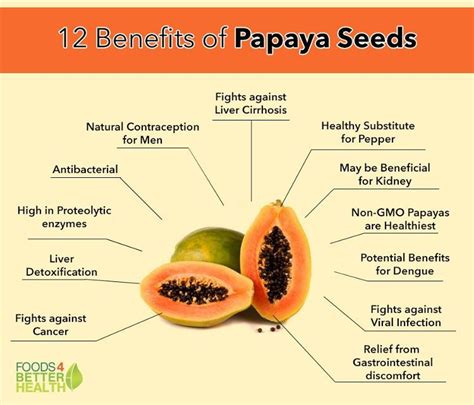 Benefits Of Papaya Seeds For Kidney Liver Stomach More Papaya