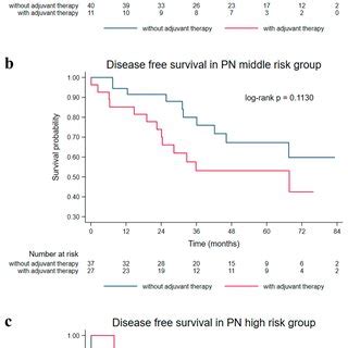 The Year Dfs In Early Stage Nsclc Patients With And Without Adjuvant